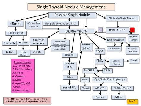 Single Thyroid Nodule Management Thyroid Disease Manager
