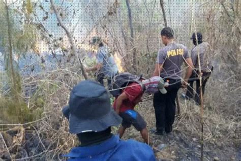 Kebakaran yang terjadi di gunung lawu hingga kini sulit dipadamkan. Jalur Pendakian Gunung Guntur Ditutup Sementara