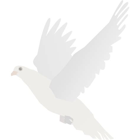 White Dove 1579688721 Free Svg