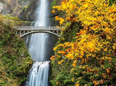 Nature Forest Bridge Autumn Amazing Beauty Waterfall
