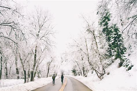 gente para caminar camino invierno nieve frío congelado zing árboles rural pxfuel