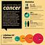 Sun Summer Safety And Cancer Infographic