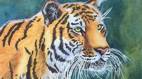 Tiger Watercolor Painting Tutorial Fur Speed Painting Demonstration