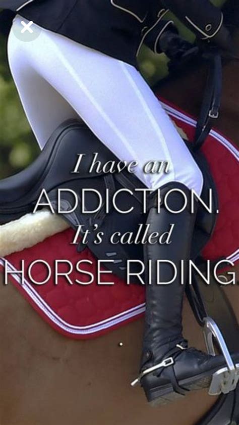 854 Best Horse Quotes Jokes And Memes Images On Pinterest Horses