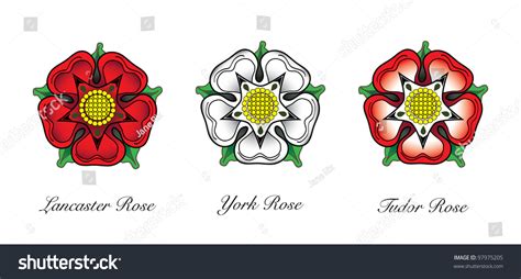 English Rose Emblems Following The War Of The Roses The Red Rose Of