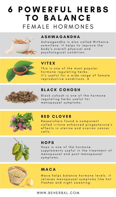 11 Hormone Regulating Herbs You May Have Never Heard Of Holistic