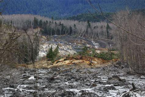 Snohomish Mudslide Landslide Nature Natural Disaster Landscape