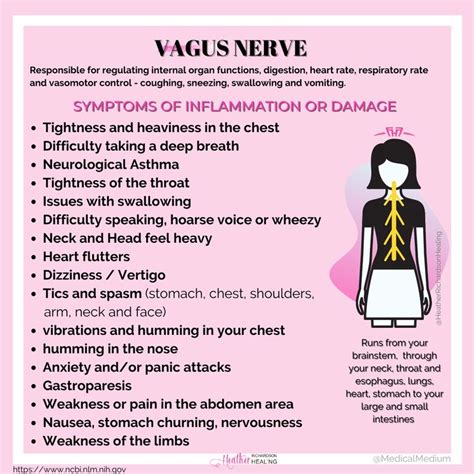 Symptoms Of An Inflamed Vagus Nerve