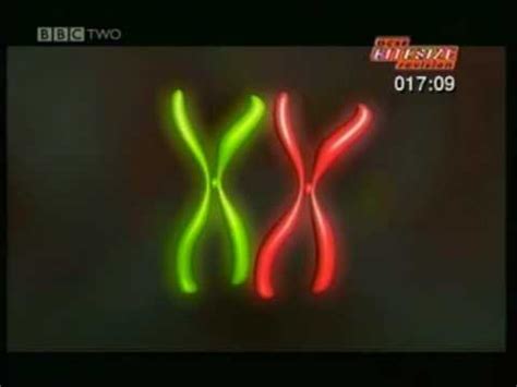 What is a cell bbc bitesize. GCSE BBC Science Bitesize - Cell Activity - YouTube