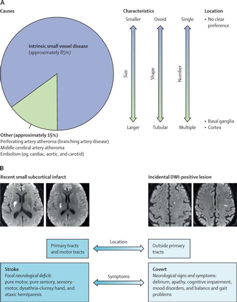 Neuroimaging Standards For Research Into Small Vessel Disease—advances