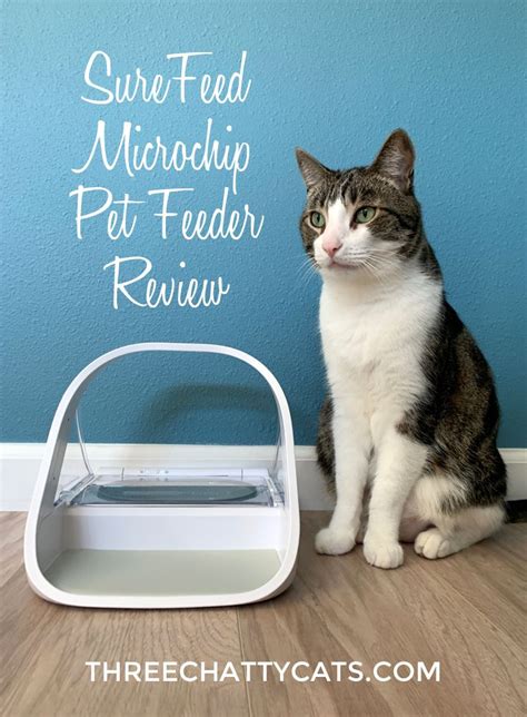 If one of your cats is missing out on feeding time because they're being dominated by a bigger, hungrier fur ball, you need a cat feeder that only opens. SureFeed Microchip Pet Feeder Review | Pet feeder, Pets ...