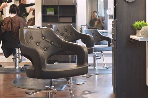 Salonsmart provides salon equipment and furniture to a hair salon, barber shop and spas that combine style. Glitz Salon Chair | Salon chairs, Salon styling chairs ...
