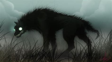 17 Best Images About Black Shuck On Pinterest On Sunday British And