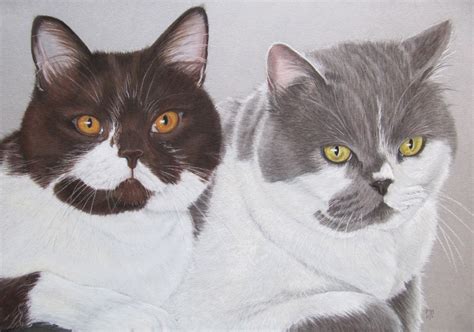 Cats Painting Art Hd Wallpaper Rare Gallery