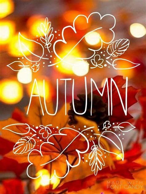 The Words Autumn Written On A Window With Fall Leaves And Lights In The