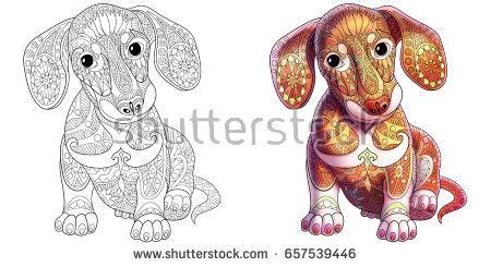 More images for dachshund puppy birthday coloring page » aug 06, 2021 · dachshund puppy birthday coloring page | select one of 1000 printable coloring pages of the category adult. Coloring Book Page Dachshund Puppy Dog Stock Vector ...
