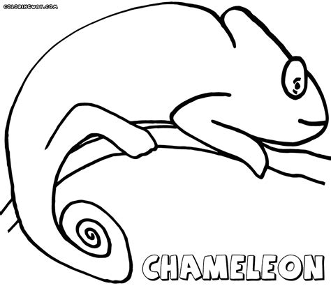Chameleon coloring page for preschoolers. Chameleon coloring pages | Coloring pages to download and ...
