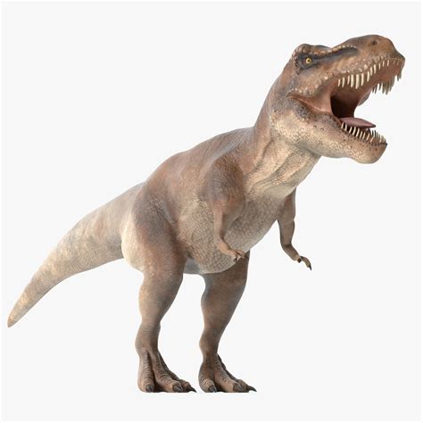 Tyrannosaurus Rex In Profile V1 Free 3d Model Obj Stl Free3d