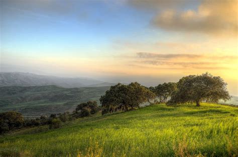 Free Images Landscape Tree Nature Grass Horizon Light Cloud