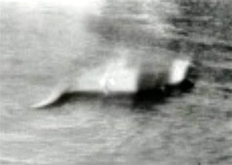 İskoçya'nın yerli halkı, bu görkemli canavarı taşlara resmetmiş, bu resimlerde canavarı dev bir yaratık olarak göstermiştir. Loch Ness Gölü Canavarı bulundu mu? Söylentiler sosyal ...