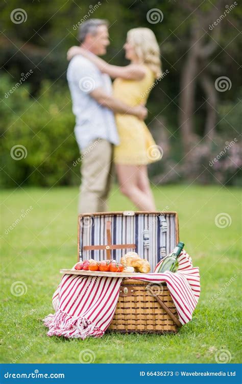 Happy Couple Hugging Next To Picnic Basket Stock Image Image Of