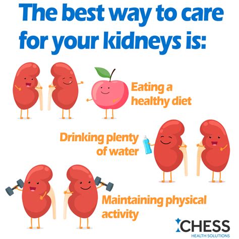 Kidney Health Is Important To Well Being Chess Health Solutions