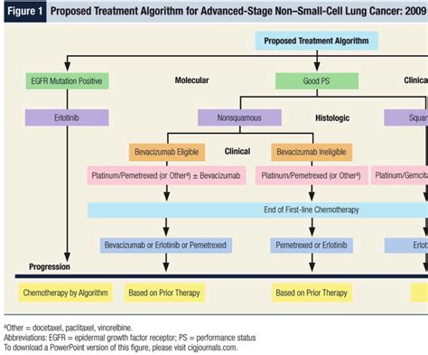 Proposed Treatment Algorithm For Advanced Stage Nonsmall Cell Lung