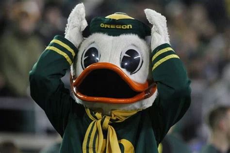 Quack Quack Oregon Ducks Duck University Of Oregon