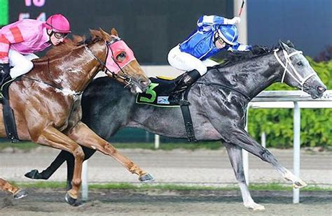 Horse racing today results and tab dividends race results. Kranji Stakes Looks Open - Sporting Post