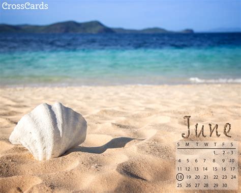 🔥 Free Download June Seashell Desktop Calendar Free June Wallpaper