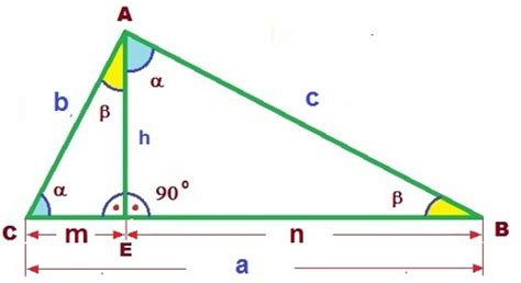Área De Un Triángulo Rectángulo