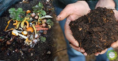 Guía De Compostaje Rápido Cómo Conseguir Compost En 14 Días El