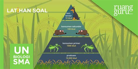 Salah satu pupuk yang penting dalam pertanian adalah pupuk n (nitrogen) atau yang lebih sering dikanal dengan sebutan pupukurea. 10. Bagian Darah Yang Cair Yang Tersusun Atas, Protein ...