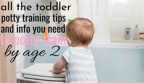 All The Toddler Potty Training Tips You Need To Potty Train By 2