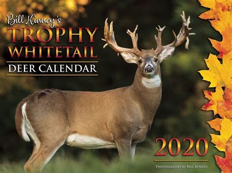 Whitetail Rut Calendar 2020 Template Calendar Design Pertaining To