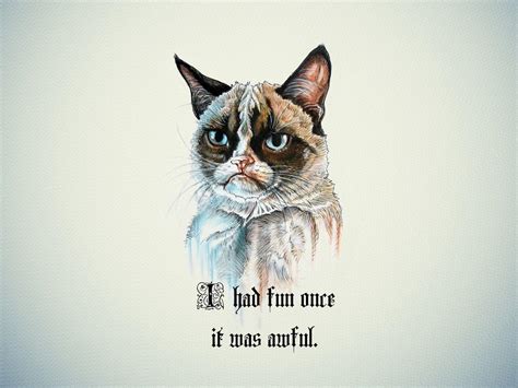 Funny Grumpy Cat Wallpapers Petswall