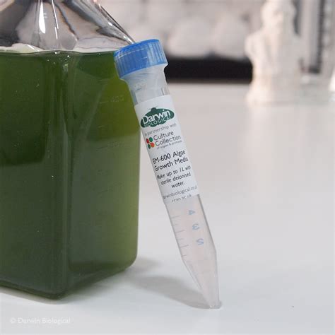 Algae Growth Medium Biology Supplies Darwin Biological