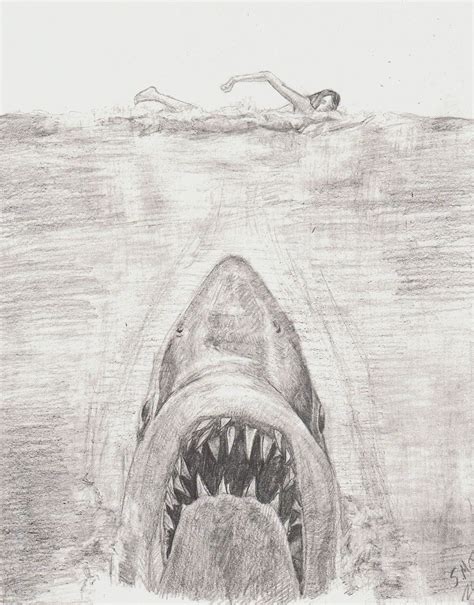 Movie Jaws Drawing