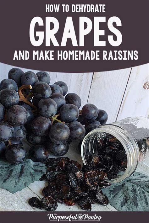 While raisins can be a good addition to a world's healthiest foods way of eating, it's important not to see them as a substitute for grapes. How to Dehydrate Grapes for Homemade Raisins | The ...