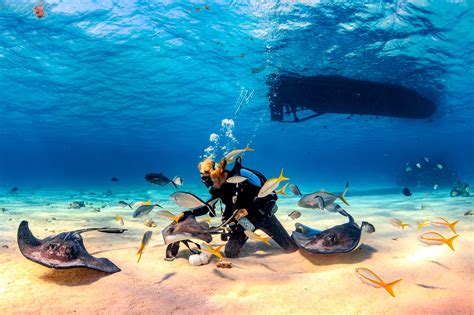Scuba Diving Jamaica Best Spots And What To Expect Beaches 2023