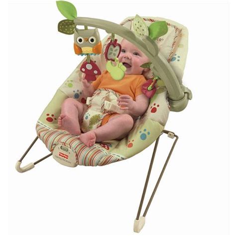 Fisher Price Cozy Cocoon Bouncer Woodsy Friends