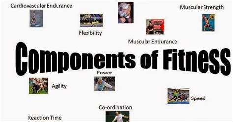 However, the other 8 components of fitness are just as important when considering overall fitness. Physical fitness clubs: Physical fitness definition and ...