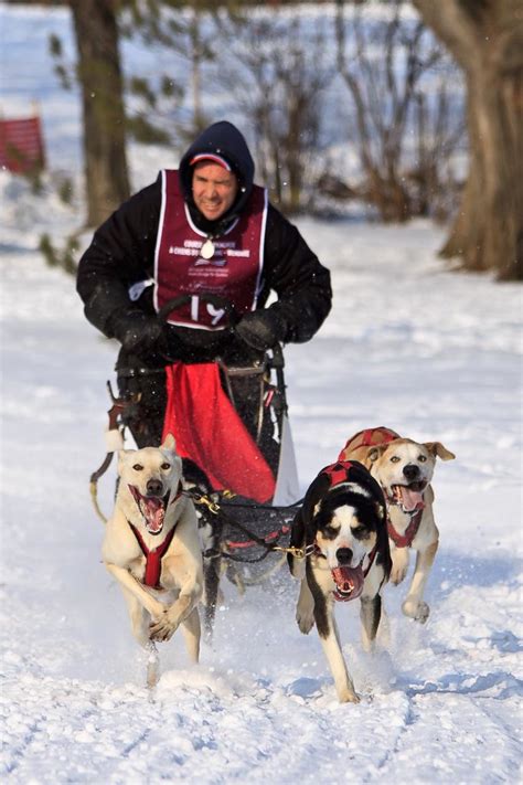 Check spelling or type a new query. Course de Traineaux À Chiens, Carnaval de Québec / Dogsled ...