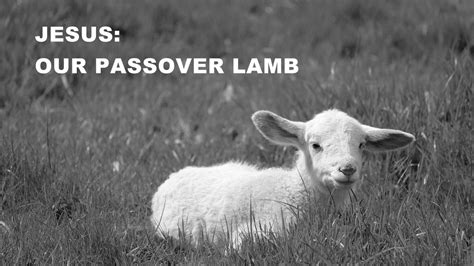 Jesus Our Passover Lamb Theocast