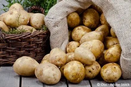 Kohlenhydrate in Kartoffeln Tabelle und gesundheitliche Wirkung