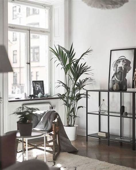 40 Enchanting Scandinavian Living Room Design Ideas For You The Rang