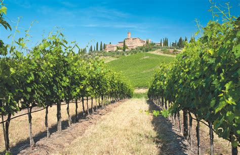 Check spelling or type a new query. Castello Banfi - Grand Hotel Baglioni, Firenze - Giovedì ...