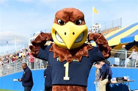 Why Your Mascot Sucks Kent State University Golden Flashes Buckys