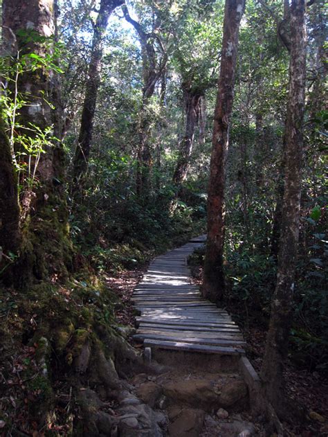 Mount kinabalu reveals a magical quality which is both picturesque and indescribable. How to Climb Mount Kinabalu in 1 Day, Sabah, Borneo