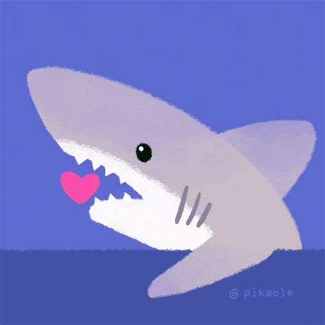 Cute Shark GIFs Find Share On GIPHY